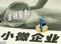 详细说明上海中小微企业的融资渠道与申请要点