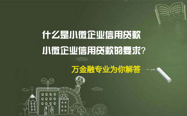 什么是小微企业信用贷款及小微企业信用贷款的要求？