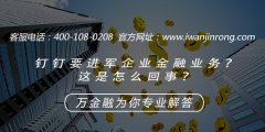 <b>钉钉要进军企业金融业务？这是怎么回事？</b>